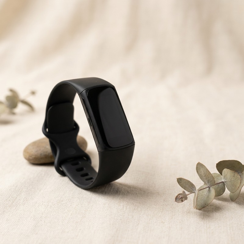 Fitbit Charge